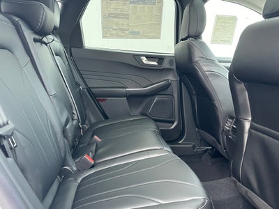 2026 Ford Escape Platinum